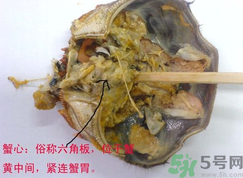 梭子蟹哪些部位不能吃？梭子蟹哪些人不能吃？