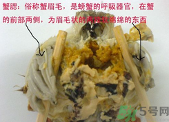 梭子蟹哪些部位不能吃？梭子蟹哪些人不能吃？