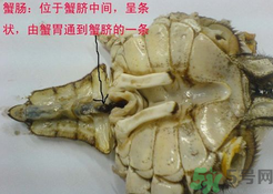 梭子蟹哪些部位不能吃？梭子蟹哪些人不能吃？