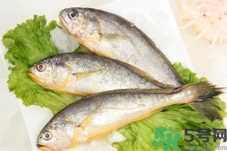 秋季適合吃什么魚？秋季吃魚的好處？