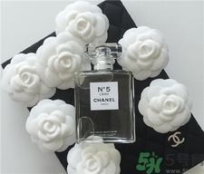 全新香奈兒五號之水好聞嗎?全新香奈兒五號之水香評 全新香奈兒五號之水好聞嗎?全新香奈兒五號之水香評