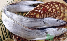 新鮮帶魚怎么保存?炸好的帶魚怎么保存? 新鮮帶魚怎么保存?炸好的帶魚怎么保存?