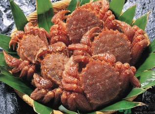 陽澄湖大閘蟹和太湖大閘蟹的區(qū)別？陽澄湖大閘蟹好還是太湖大閘蟹好？