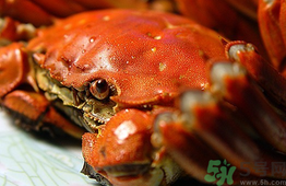 陽澄湖大閘蟹和普通大閘蟹的區(qū)別？陽澄湖大閘蟹比普通大閘蟹好在哪里？