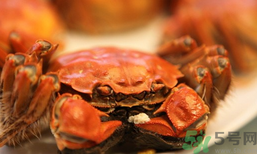 陽澄湖大閘蟹和普通大閘蟹的區(qū)別？陽澄湖大閘蟹比普通大閘蟹好在哪里？