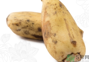 蓮藕變黃了還能吃嗎?蓮藕變黃了可以吃嗎? 蓮藕變黃了還能吃嗎?蓮藕變黃了可以吃嗎?