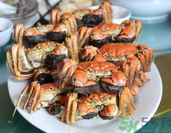 陽澄湖大閘蟹和普通大閘蟹的區(qū)別？陽澄湖大閘蟹比普通大閘蟹好在哪里？