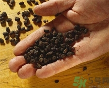 豆豉的營養(yǎng)價值 豆豉的功效與作用 豆豉的營養(yǎng)價值 豆豉的功效與作用