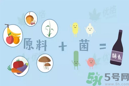 酵素是什么？吃酵素減肥有效果嗎？