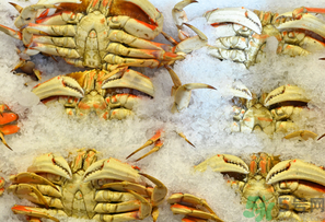 冷凍的梭子蟹能吃嗎？冷凍的梭子蟹怎么吃比較好？