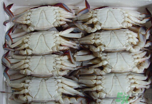 冷凍的梭子蟹能吃嗎？冷凍的梭子蟹怎么吃比較好？