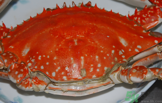 梭子蟹吃多了會怎么樣？梭子蟹能多吃嗎？