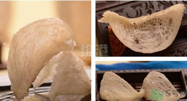 去香港買燕窩哪里好？香港哪里買燕窩比較好正宗？