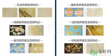 去香港買燕窩哪里好？香港哪里買燕窩比較好正宗？