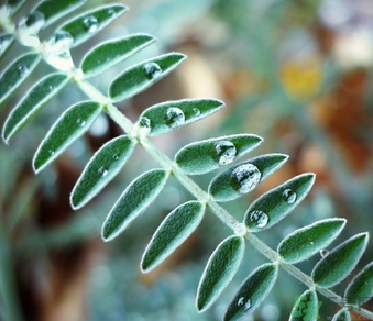 寒露穿什么衣服？寒露要注意什么？