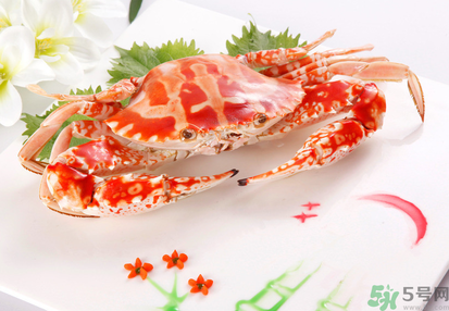 梭子蟹和花蟹的區(qū)別？梭子蟹和花蟹哪個好吃？