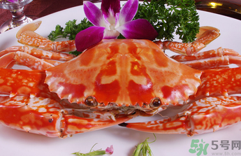 梭子蟹和花蟹的區(qū)別？梭子蟹和花蟹哪個好吃？