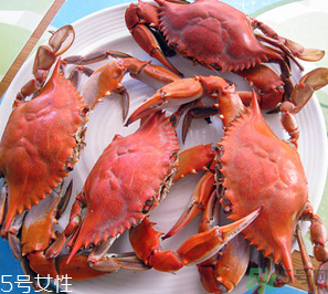 梭子蟹和飛蟹的區(qū)別？飛蟹是梭子蟹嗎？