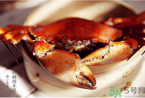 梭子蟹和青蟹哪個(gè)好吃？青蟹和梭子蟹的區(qū)別