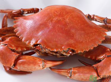 梭子蟹和青蟹哪個(gè)好吃？青蟹和梭子蟹的區(qū)別