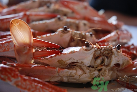 活螃蟹放冷藏還是冷凍?活螃蟹冷藏能放多久 活螃蟹放冷藏還是冷凍?活螃蟹冷藏能放多久