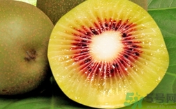 奇異果變軟了還能吃嗎?奇異果變軟了可以吃嗎? 奇異果變軟了還能吃嗎?奇異果變軟了可以吃嗎?