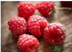 茅莓根的功效作用 茅莓的功效作用 茅莓根的功效作用 茅莓的功效作用