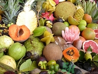 榴蓮變苦是怎么回事?榴蓮變苦了還能吃嗎 榴蓮變苦是怎么回事?榴蓮變苦了還能吃嗎