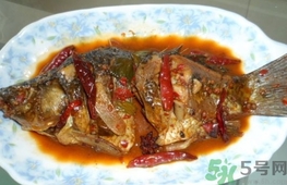 鯽魚可以放冰箱冷凍嗎?鯽魚能放冰箱保存嗎? 鯽魚可以放冰箱冷凍嗎?鯽魚能放冰箱保存嗎?