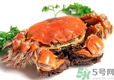 螃蟹里面黑色的是什么?螃蟹里面黑色的能吃嗎? 螃蟹里面黑色的是什么?螃蟹里面黑色的能吃嗎?