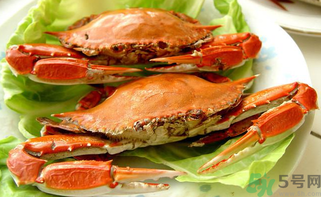 海蟹死了可以吃嗎？海蟹死了多久還能吃？