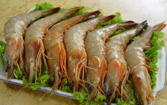 青蝦怎么做好吃？青蝦的做法大全