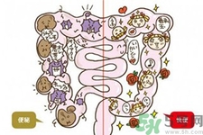 身體如何排毒？女性排毒養(yǎng)顏的食物有哪些？