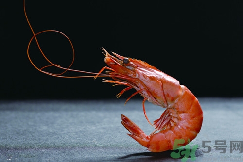 熟蝦怎么去蝦線?熟蝦去蝦線方法介紹 熟蝦怎么去蝦線?熟蝦去蝦線方法介紹