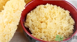 銀耳可以天天吃嗎?銀耳能每天吃嗎? 銀耳可以天天吃嗎?銀耳能每天吃嗎?