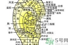 每天揉耳朵有什么好處？?揉耳朵的正確方法是什么？