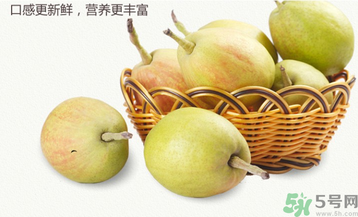 孕婦能吃香梨嗎？香梨孕婦可以吃嗎？