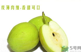 孕婦能吃香梨嗎？香梨孕婦可以吃嗎？