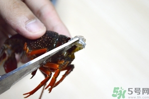 活蝦怎么處理干凈蝦線？活蝦怎么去蝦線？