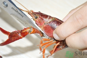 活蝦怎么處理干凈蝦線？活蝦怎么去蝦線？