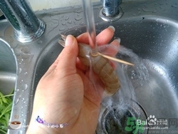 活蝦怎么處理干凈蝦線？活蝦怎么去蝦線？