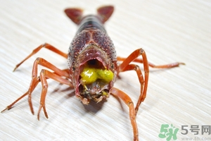 活蝦怎么處理干凈蝦線？活蝦怎么去蝦線？