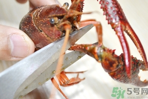 活蝦怎么處理干凈蝦線？活蝦怎么去蝦線？