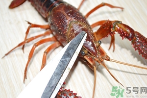 活蝦怎么處理干凈蝦線？活蝦怎么去蝦線？