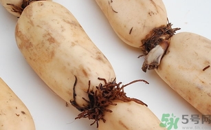 蓮藕爛了一點(diǎn)還能吃嗎?蓮藕爛了一點(diǎn)可以吃嗎? 蓮藕爛了一點(diǎn)還能吃嗎?蓮藕爛了一點(diǎn)可以吃嗎?