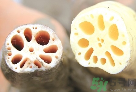 蓮藕爛了一點(diǎn)還能吃嗎?蓮藕爛了一點(diǎn)可以吃嗎? 蓮藕爛了一點(diǎn)還能吃嗎?蓮藕爛了一點(diǎn)可以吃嗎?