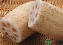 蓮藕爛了一點(diǎn)還能吃嗎?蓮藕爛了一點(diǎn)可以吃嗎? 蓮藕爛了一點(diǎn)還能吃嗎?蓮藕爛了一點(diǎn)可以吃嗎?