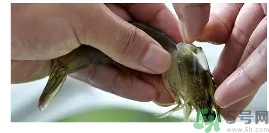 明蝦怎么去蝦線?明蝦蝦線怎么挑? 明蝦怎么去蝦線?明蝦蝦線怎么挑?