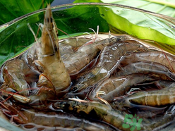 明蝦怎么去蝦線?明蝦蝦線怎么挑? 明蝦怎么去蝦線?明蝦蝦線怎么挑?