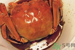 醉蟹有什么好處?醉蟹的營養(yǎng)價值和功效 醉蟹有什么好處?醉蟹的營養(yǎng)價值和功效